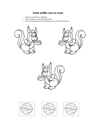 Cada ardilla con su nuez
o Observa y verbaliza lasimágenes.
o Recorta pega una nuez para cada ardilla.
o Hace correspondencia uniendo cada nuez con la ardilla y Verbaliza.
 