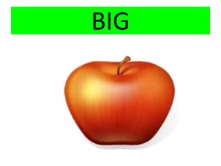 BIG