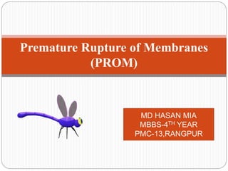 Premature Rupture of Membranes
(PROM)
MD HASAN MIA
MBBS-4TH YEAR
PMC-13,RANGPUR
 