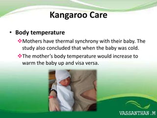Kangaroo Care
• Body temperature
  Mothers have thermal synchrony with their baby. The
   study also concluded that when the baby was cold.
  The mother’s body temperature would increase to
   warm the baby up and visa versa.
 