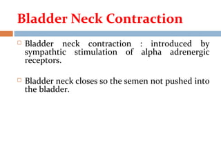 Bladder Neck Contraction
 Bladder neck contraction : introduced by
sympathtic stimulation of alpha adrenergic
receptors.
 Bladder neck closes so the semen not pushed into
the bladder.
 
