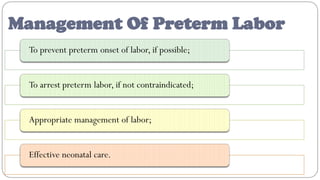 Preterm Labor Management Algorithm Premature labour ppt | PDF