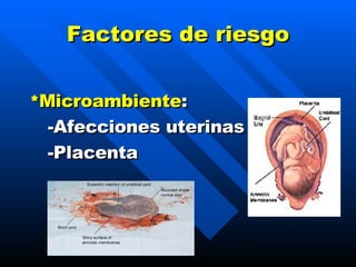Factores de riesgo * Microambiente : -A fecciones uterinas - Placenta 