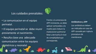 Los cuidados prenatales:
• La comunicacion en el equipo
perinatal.
• El equipo perinatal se debe reunir
previamente al nacimiento.
• Resulta clave una adecuada
comunicacion entre los equipos
obstetricos y neonatal.
Frente a la amenaza de
APP inminente, se debe
aplicar corticoides a la
madre para inducir la
maduracion pulmonar
fetal y derivarla al nivel
de complejidad que
corresponda.
Antibioticos y APP
Los antibioticos deben
ser indicados en caso de
APP causado por ruptura
prematura de
membranas.
 