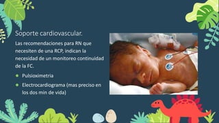Soporte cardiovascular.
Las recomendaciones para RN que
necesiten de una RCP, indican la
necesidad de un monitoreo continuidad
de la FC.
● Pulsioximetria
● Electrocardiograma (mas preciso en
los dos min de vida)
 