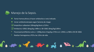 Manejo de la Sepsis.
● Tomar hemocultivos al hacer onfaloclisis si esta indicado.
● Iniciar antibioticoterapia según factores de riesgo:
 Ampicilina−sulbactam 100mg/kg/dosis c/12hrs
 Amikacina >29SG 18mg/kg c/48hrs o 30−33SG 18mg/hg/c36hrs
• Fluconazol profiláctico solo a < 1000g dosis 3mg/kg c/72hrs en <29SG y c/48hrs EN 30−36SG
• Realizar hemograma y PCR a las 12hrs de vida.
 