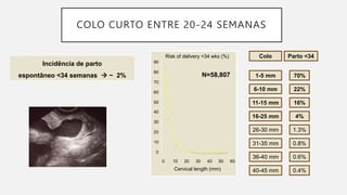 COLO CURTO ENTRE 20-24 SEMANAS
16-25 mm 4%
11-15 mm 16%
6-10 mm 22%
1-5 mm 70%
Colo Parto <34
40-45 mm 0.4%
36-40 mm 0.6%
31-35 mm 0.8%
26-30 mm 1.3%
Risk of delivery <34 wks (%)
Cervical length (mm)
0
10
20
30
40
50
60
70
80
90
0 10 20 30 40 50 60
N=58,807
Incidência de parto
espontâneo <34 semanas  ~ 2%
 