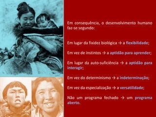 Em consequência, o desenvolvimento humano
faz-se segundo:
Em lugar da fixidez biológica → a flexibilidade;
Em vez de instintos → a aptidão para aprender;

Em lugar da auto-suficiência → a aptidão para
interagir;
Em vez do determinismo → a indeterminação;
Em vez da especialização → a versatilidade;
Não um programa fechado → um programa
aberto.

 