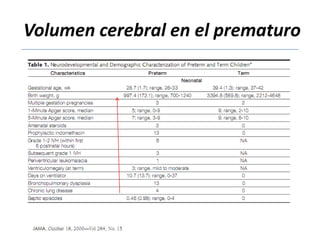 Volumen cerebral en el prematuro
 