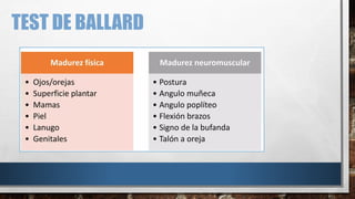 PREMATURIDAD Y EXAMEN FÍSICO, patologias congenitas. | PDF