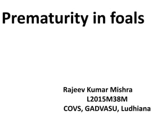 Prematurity in foals
Rajeev Kumar Mishra
L2015M38M
COVS, GADVASU, Ludhiana
 