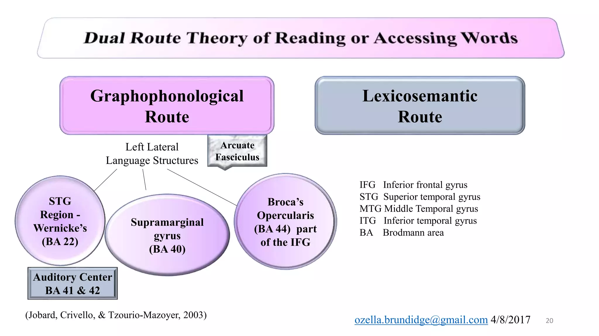 Prematurity affects the integrity of the dorsal and ventral streams | PPTX