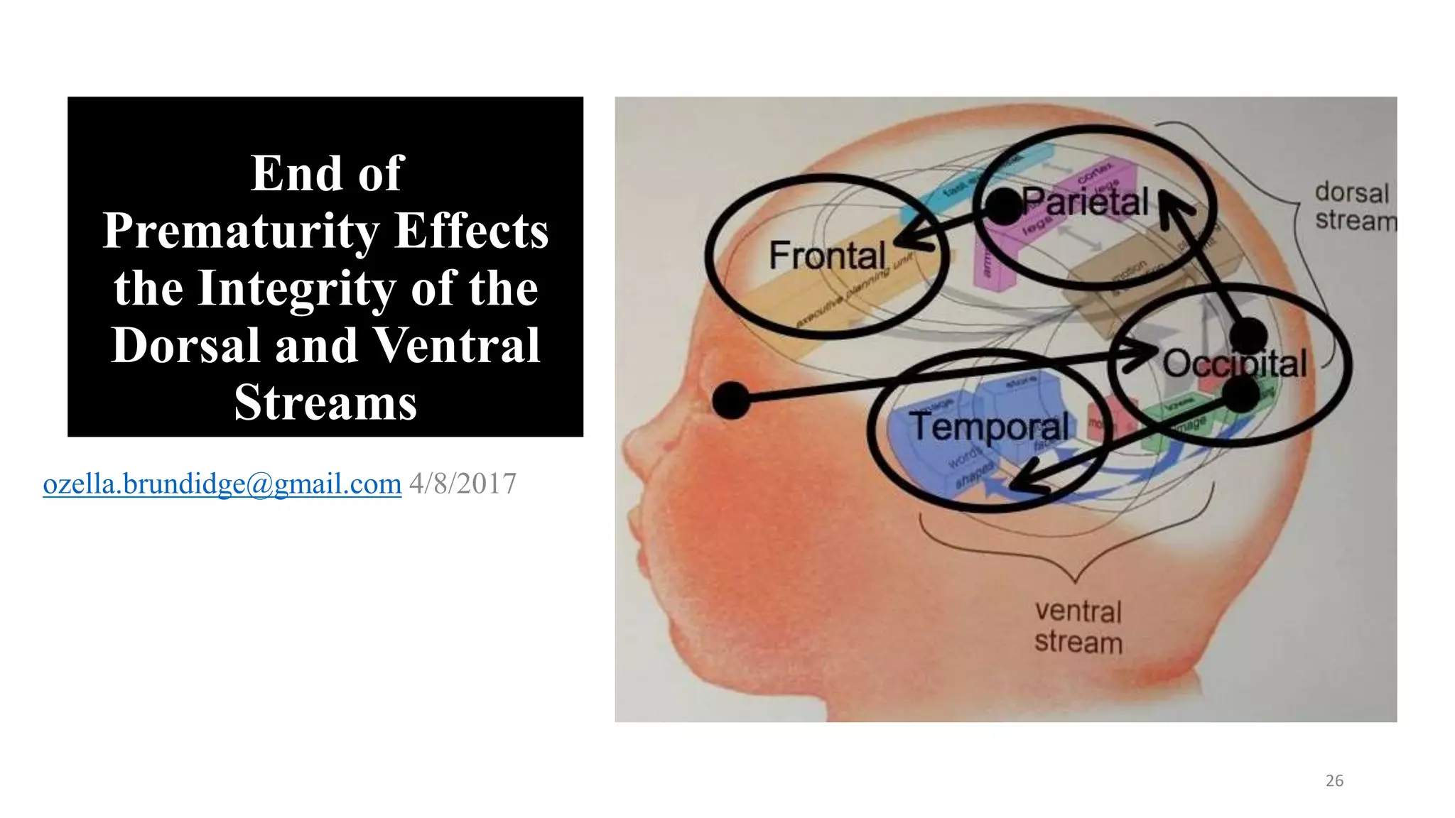 Prematurity affects the integrity of the dorsal and ventral streams | PPTX