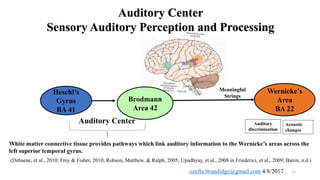 Prematurity affects the integrity of the dorsal and ventral streams | PPTX