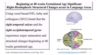 Prematurity affects the integrity of the dorsal and ventral streams | PPTX