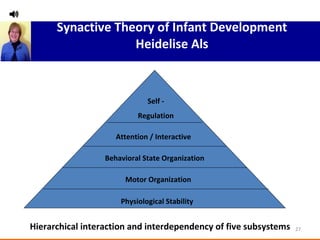 Synactive Theory of Infant Development Heidelise Als Hierarchical interaction and interdependency of five subsystems Self - Regulation Attention / Interactive Behavioral State Organization Motor Organization Physiological Stability 