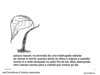 02.07.15 2
ana'Carvalhosa © direitos reservados pre m'aturopre m'aturo
porque nasces na alvorada de uma madrugada deitadaporque nasces na alvorada de uma madrugada deitada
se nascer é morrer quando abres os olhos e ergues a questãose nascer é morrer quando abres os olhos e ergues a questão
morrer é a noite abraçada no peito frio do teu olhar abençoadomorrer é a noite abraçada no peito frio do teu olhar abençoado
nem nasces morres para a manhã que cresce ao dianem nasces morres para a manhã que cresce ao dia
 