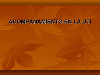 ACOMPAÑAMIENTO EN LA UTI
 