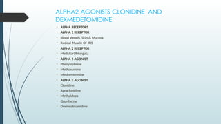 ALPHA2 AGONISTS CLONIDINE AND
DEXMEDETOMIDINE
• ALPHA RECEPTORS
• ALPHA 1 RECEPTOR
• Blood Vessels, Skin & Mucosa
• Radical Muscle Of IRIS
• ALPHA 2 RECEPTOR
• Medulla Oblongata
• ALPHA 1 AGONIST
• Phenylephrine
• Methoxamine
• Mephentermine
• ALPHA 2 AGONIST
• Clonidine
• Apraclonidine
• Methyldopa
• Gaunfacine
• Dexmedetomidine
 