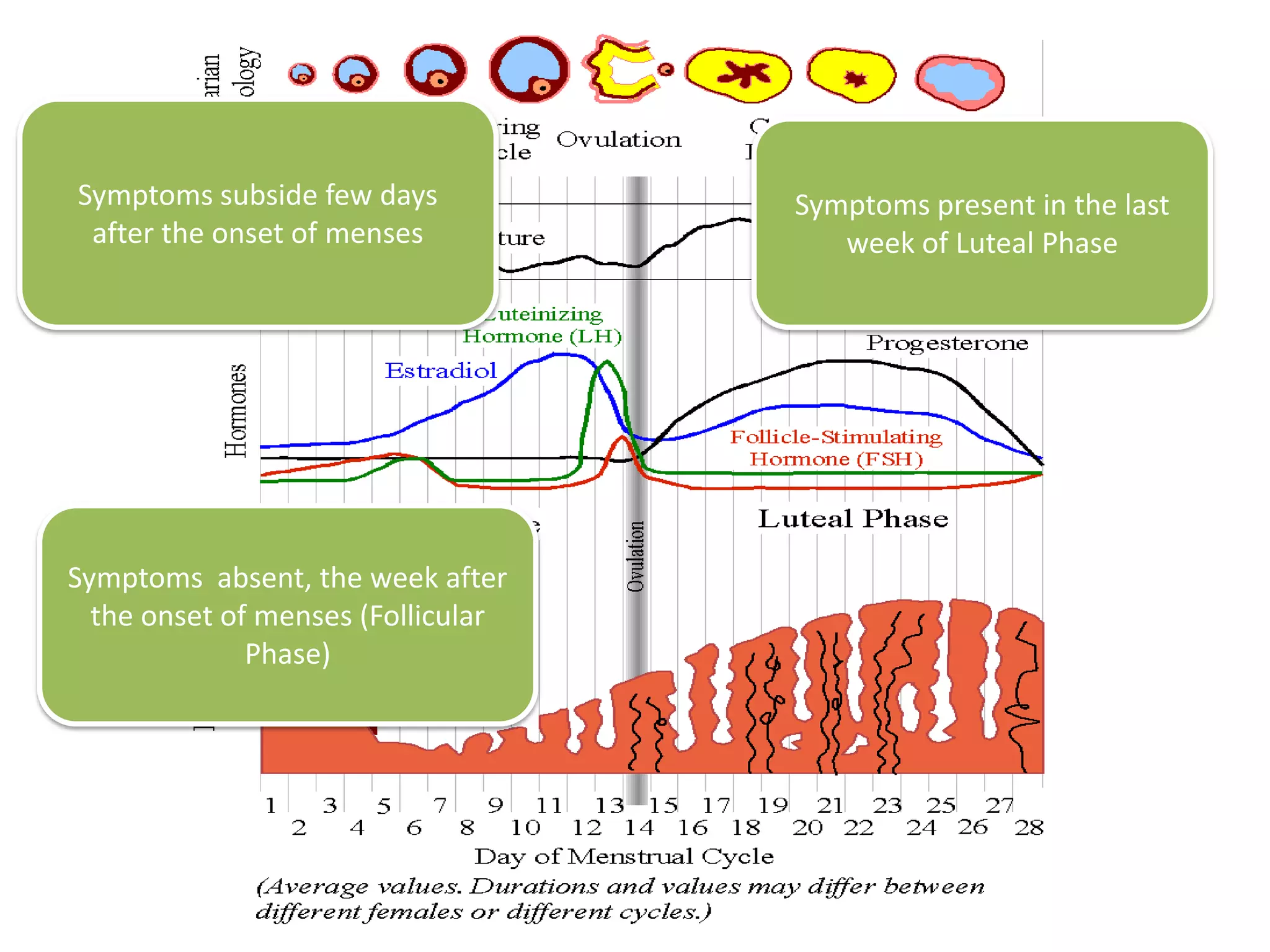 (e.g. work, school, friends, hobbies) 