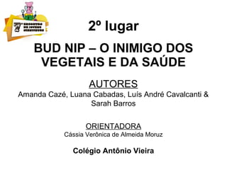 2º lugar
BUD NIP – O INIMIGO DOS
VEGETAIS E DA SAÚDE
AUTORES
Amanda Cazé, Luana Cabadas, Luís André Cavalcanti &
Sarah Barros
ORIENTADORA
Cássia Verônica de Almeida Moruz
Colégio Antônio Vieira
 