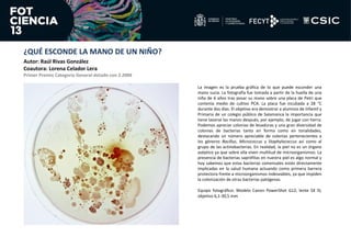 ¿QUÉ ESCONDE LA MANO DE UN NIÑO?
Autor: Raúl Rivas González
Coautora: Lorena Celador Lera
Primer Premio Categoría General ...