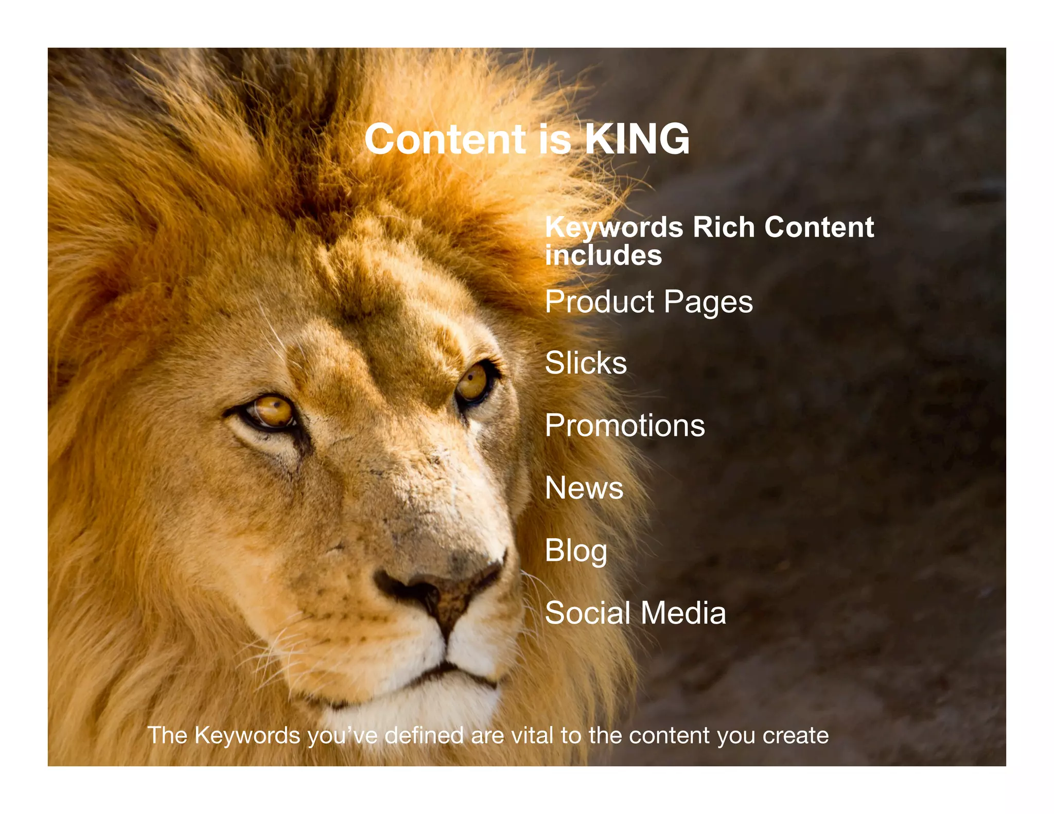 Confidential and Proprietary. Subject to Non-Disclosure Agreement. 
Content is KING 
Keywords Rich Content 
includes 
Product Pages 
Slicks 
Promotions 
News 
Blog 
Social Media 
The Keywords you’ve defined are vital to the content you create 
 