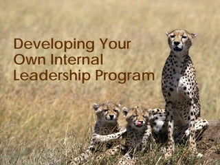 Developing Your
Own Internal
Leadership Program
 