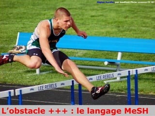 Higher hurdler par leadfoot Flickr Licence CC BY




L’obstacle +++ : le langage MeSH
 