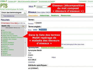 Oiseaux (décomposition
                      du mot composé
                  « éleveurs d’oiseaux »)




Dans la liste des termes
  MeSH repérage de
« maladie des éleveurs
      d’oiseaux »
 