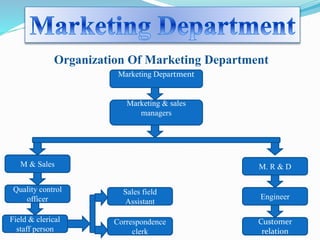 Organization Of Marketing Department 
Marketing Department 
Marketing & sales 
managers 
M. R & D 
Engineer 
Customer 
relation 
M & Sales 
Quality control 
officer 
Field & clerical 
staff person 
Sales field 
Assistant 
Correspondence 
clerk 
 