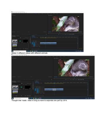 Added 3 different videos with different animals
Thought that koala video is long so have to seporate one part by ctrl-k
 