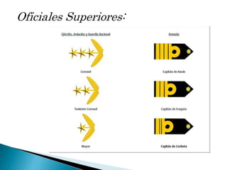 Oficiales Superiores:
 