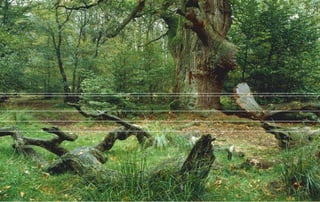 Marca Prêmio Design de Mobiliário