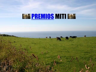 PREMIOS MITI
 