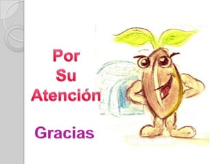 Organizaciones no lucrativas incluyendo Organizaciones GubernamentalesCriterios de Evaluación  