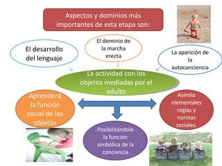 Aspectos y dominios más importantes de esta etapa son: El desarrollo del lenguaje El dominio de la marcha erecta Asimila elementales reglas y normas sociales. Posibilitándole la función simbólica de la conciencia Aprenderá la función social de los objetos La actividad con los objetos mediadas por el adulto La aparición de la autoconciencia 