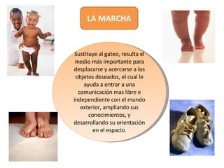 Sustituye al gateo, resulta el medio más importante para desplazarse y acercarse a los objetos deseados, el cual le ayuda a entrar a una comunicación mas libre e independiente con el mundo exterior, ampliando sus conocimientos, y desarrollando su orientación en el espacio . LA MARCHA 