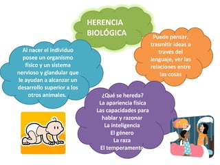 Puede pensar, trasmitir ideas a través del lenguaje, ver las relaciones entre las cosas Al nacer el individuo posee un organismo físico y un sistema nervioso y glandular que le ayudan a alcanzar un desarrollo superior a los otros animales.  ¿Qué se hereda? La apariencia física  Las capacidades para hablar y razonar  La inteligencia  El género  La raza  El temperamento  HERENCIA BIOLÓGICA 