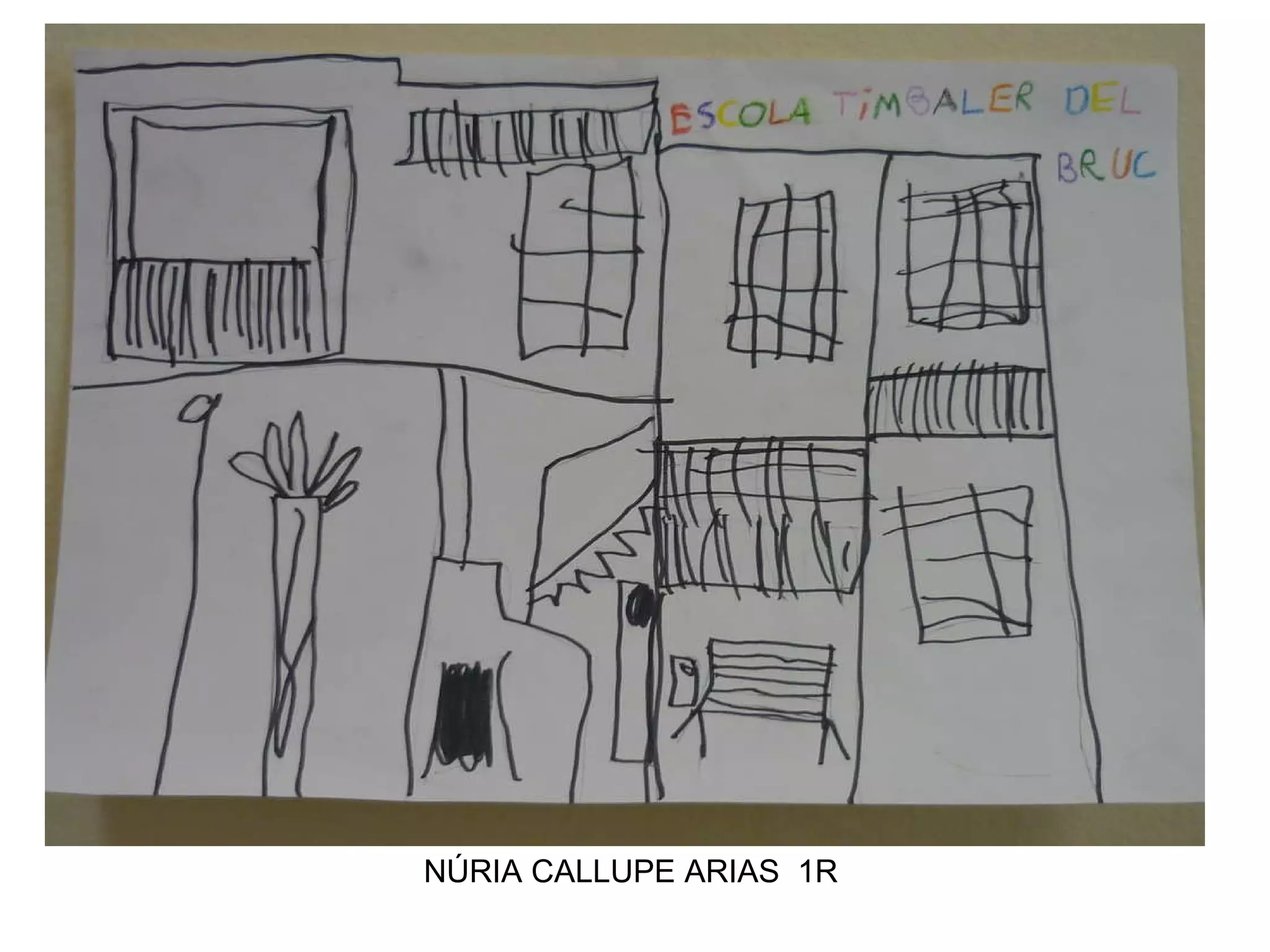 NÚRIA CALLUPE ARIAS 1R