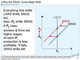 Why the SRAS Curve Might Shift
Everything that shifts
LRAS shifts SRAS,
too.
Also, PE shifts SRAS:
If PE rises,
workers & firms set
higher wages.
At each P,
production is less
profitable, Y falls,
SRAS shifts left.
LRAS
P
Y
SRAS
PE
YN
SRAS
PE
© 2018 Cengage Learning®. May not be scanned, copied or duplicated, or posted to a publicly accessible website, in whole or in part, except for use
as permitted in a license distributed with a certain product or service or otherwise on a password-protected website or school-approved learning
management system for classroom use.
40
 