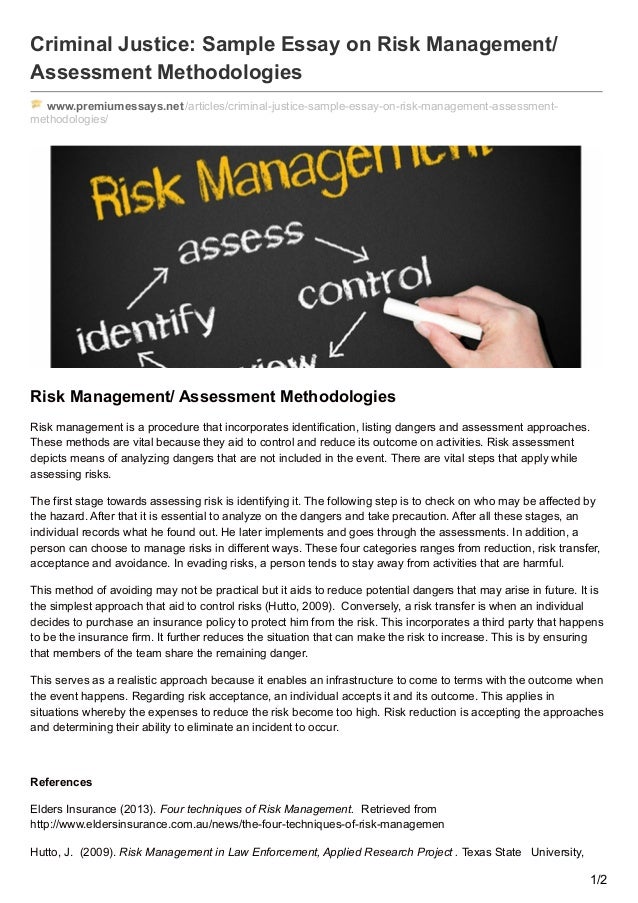 risk management essay conclusion