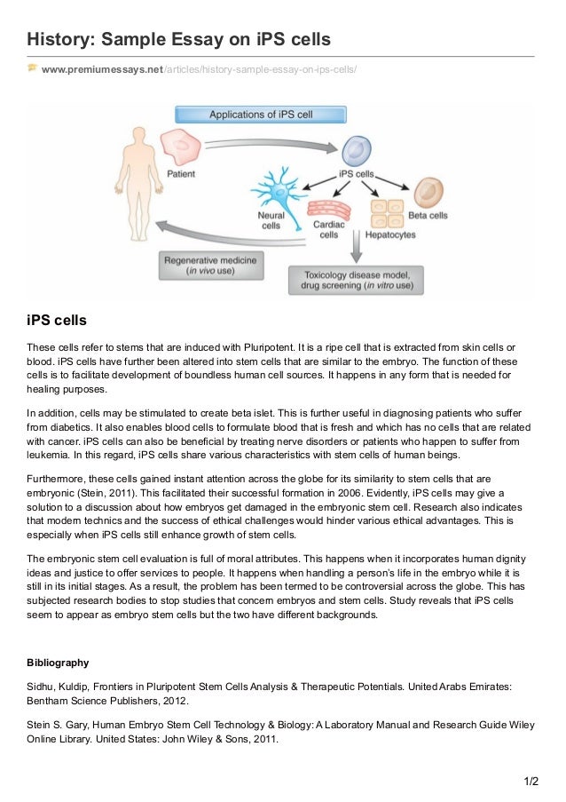 Thesis on playstation image