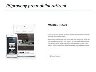 Premium šablona vždy neznamená nejvyšší kvalitu z pohledu použitelnosti | WordCamp Praha | 22.2.2014