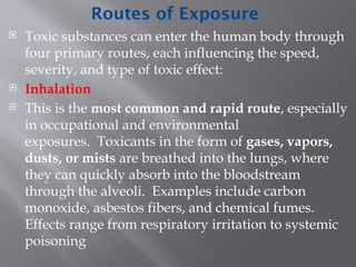 Comprehensive Overview of Toxicology and Risk Assessment: History ...