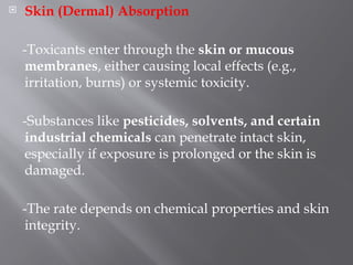 Comprehensive Overview of Toxicology and Risk Assessment: History ...