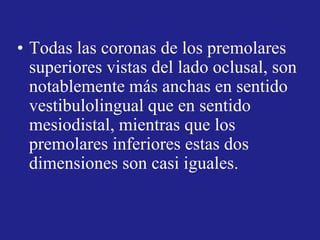 • Todas las coronas de los premolares
superiores vistas del lado oclusal, son
notablemente más anchas en sentido
vestibulolingual que en sentido
mesiodistal, mientras que los
premolares inferiores estas dos
dimensiones son casi iguales.
 