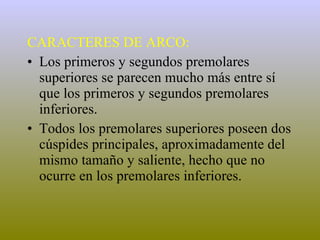 CARACTERES DE ARCO: Los primeros y segundos premolares superiores se parecen mucho más entre sí que los primeros y segundos premolares inferiores.   Todos los premolares superiores poseen dos cúspides principales, aproximadamente del mismo tamaño y saliente, hecho que no ocurre en los premolares inferiores. 
