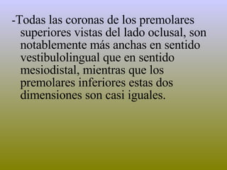 - Todas las coronas de los premolares superiores vistas del lado oclusal, son notablemente más anchas en sentido vestibulolingual que en sentido mesiodistal, mientras que los premolares inferiores estas dos dimensiones son casi iguales.  