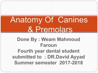 Done By : Weam Mahmoud
Faroun
Fourth year dental student
submitted to : DR.David Ayyad
Summer semester 2017-2018
Anatomy Of Canines
& Premolars
 